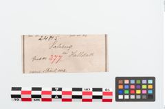Etiketten zu Bronzebrillenfibel (NHMW-PRAE-024815)